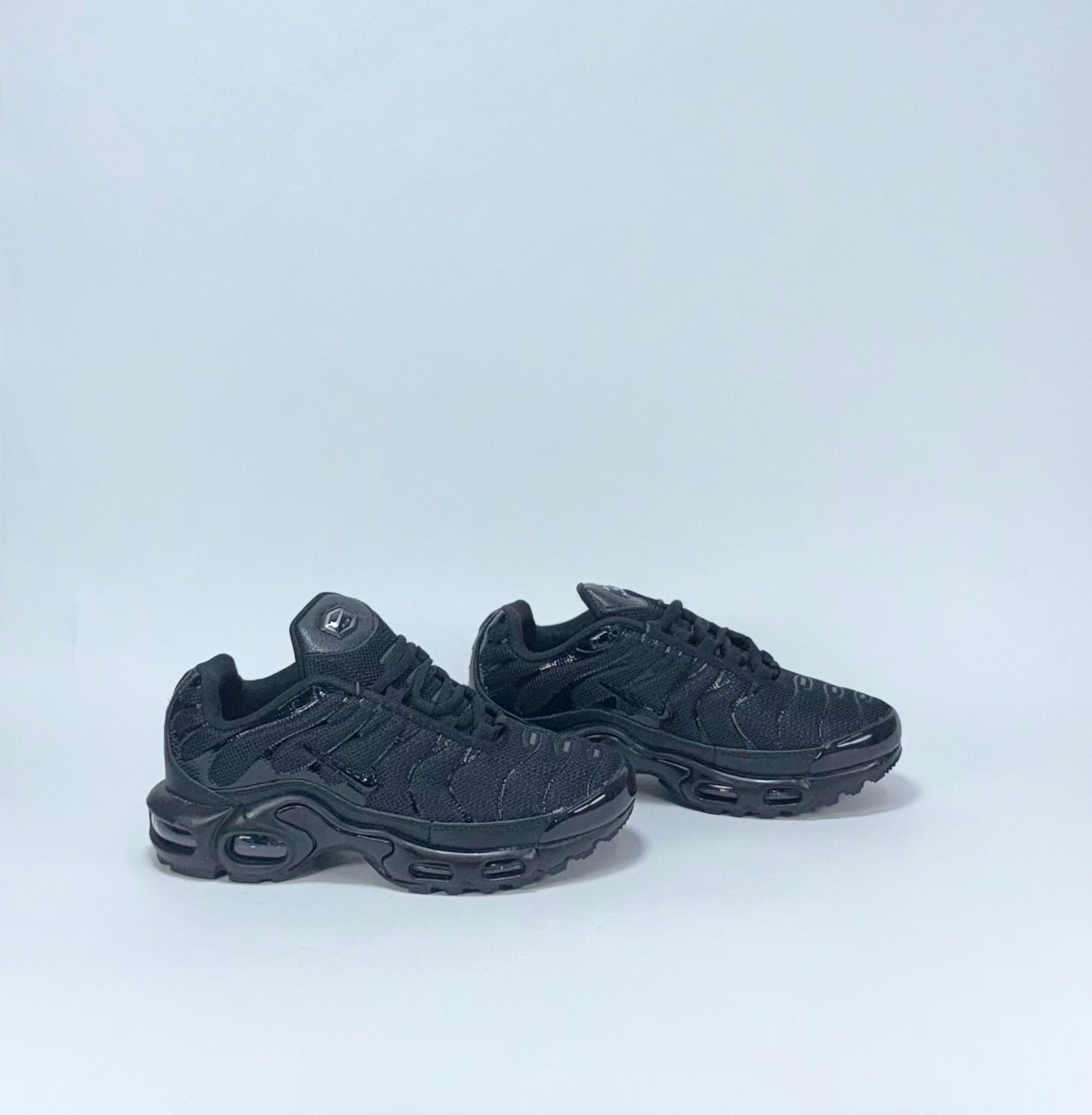 Nike TN Negra