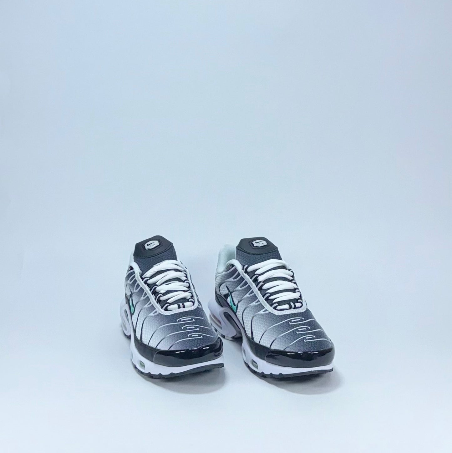 Nike TN Negra Blanca Verde