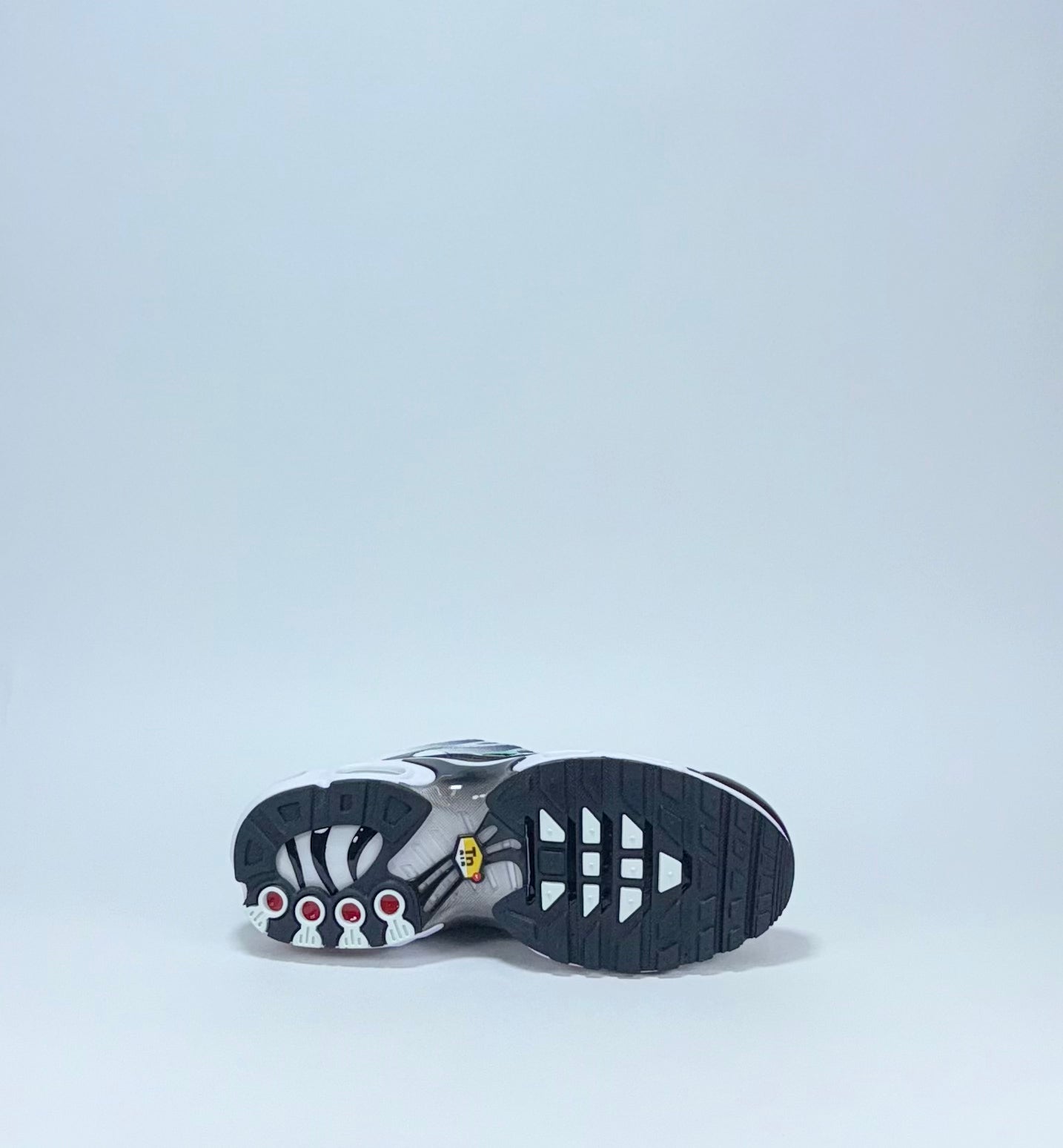 Nike TN Negra Blanca Verde