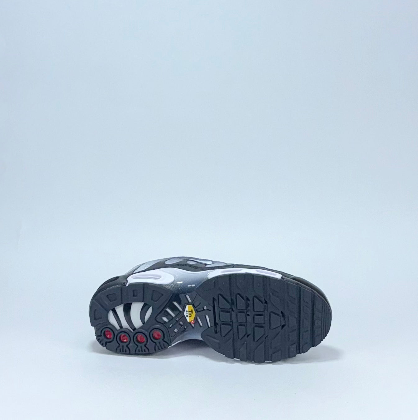 Nike TN Blanca Negra