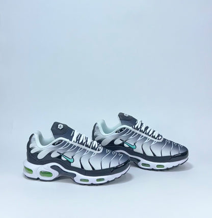 Nike TN Negra Blanca Verde